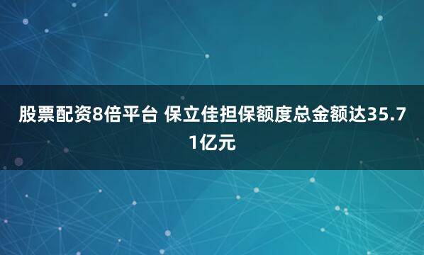 股票配资8倍平台 保立佳担保额度总金额达35.71亿元