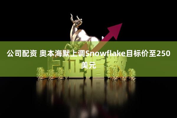 公司配资 奥本海默上调Snowflake目标价至250美元