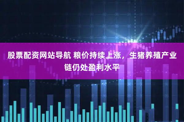 股票配资网站导航 粮价持续上涨，生猪养殖产业链仍处盈利水平