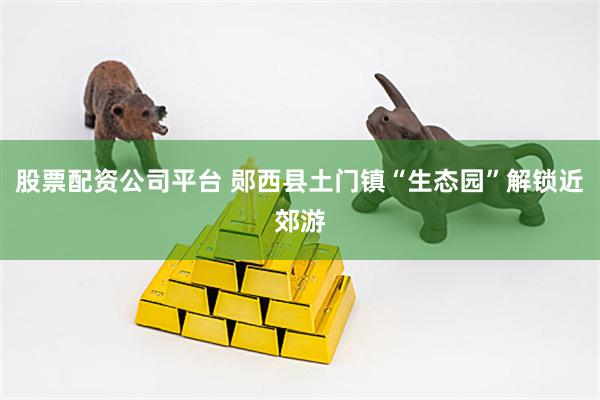 股票配资公司平台 郧西县土门镇“生态园”解锁近郊游